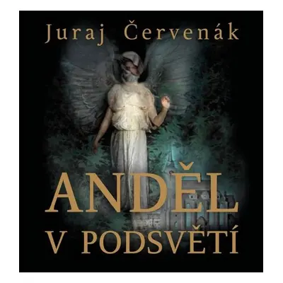 Anděl v podsvětí - Juraj Červenák