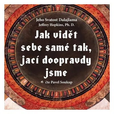 Jak vidět sebe samé tak, jací doopravdy jsme - Dalajláma