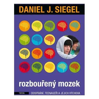 Rozbouřený mozek - Daniel J. Siegel