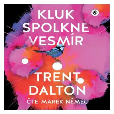 Kluk spolkne vesmír - Trent Dalton