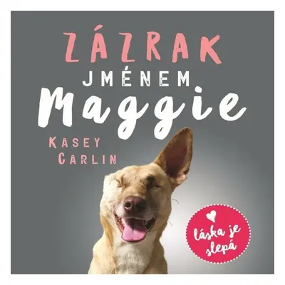 Zázrak jménem Maggie - Kasey Carlin