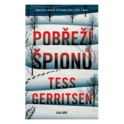 Pobřeží špionů - Tess Gerritsen