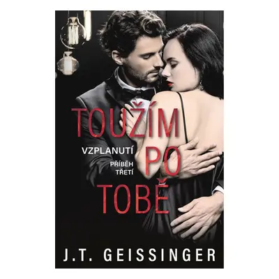 Toužím po tobě - T.J. Geissinger