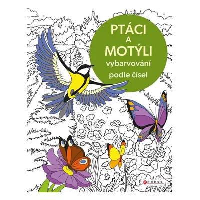 Ptáci a motýli - Autor Neuveden