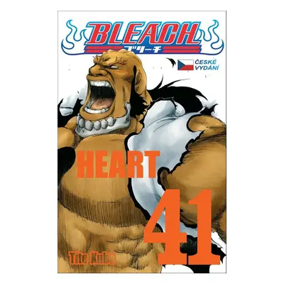 Bleach 41 - Tite Kubo