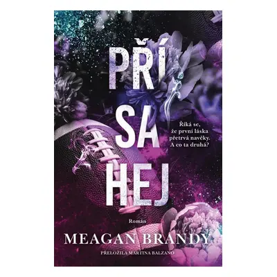 Přísahej - Meagan Brandy