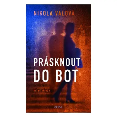 Prásknout do bot - Nikola Valová