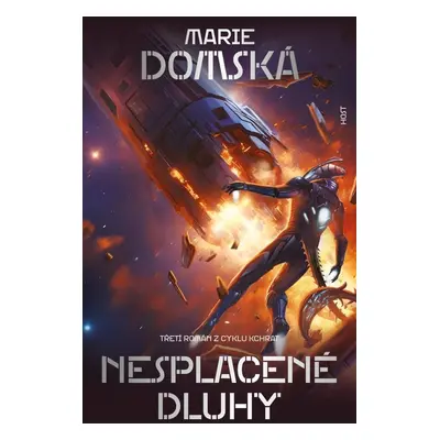 Nesplacené dluhy - Marie Domská