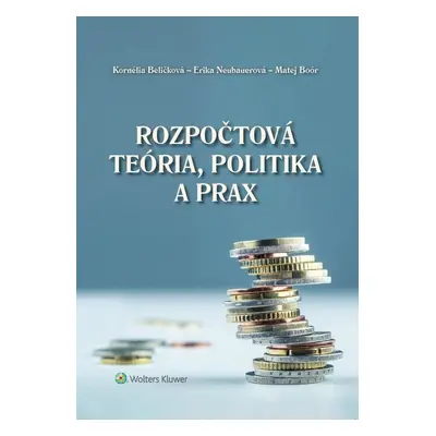 Rozpočtová teória, politika a prax - Erika Neubauerová