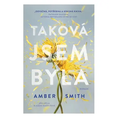 Taková jsem byla - Amber Smith