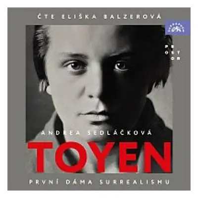 Sedláčková: Toyen - Andrea Sedláčková