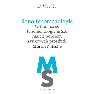 Sono-fenomenologie - Martin Nitsche