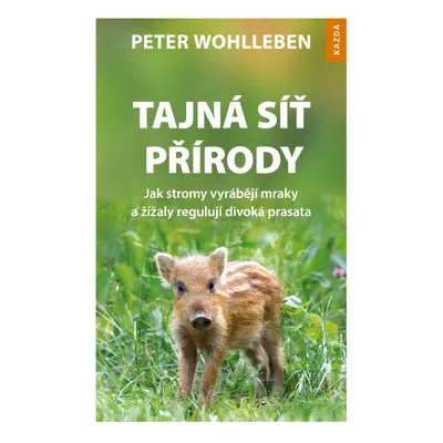 Tajná síť přírody - MUDr. Petr Wohl MUDr.