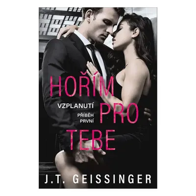 Hořím pro tebe - T.J. Geissinger