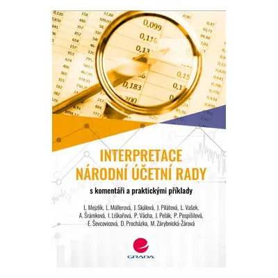 Interpretace Národní účetní rady - Edita Ševcovicová