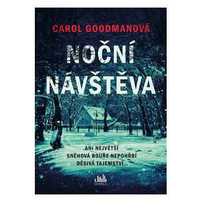 Noční návštěva - Carol Goodman