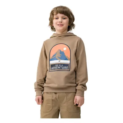 Chlapecká turistická mikina s kapucí 4F JUNIOR SWEATSHIRT-4FJWSS24TSWSM0933-81S-BROWN