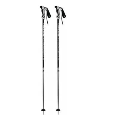 Lyžařské hole BLIZZARD Allmountain ski poles, silver