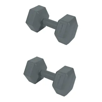 Set závaží SPOKEY MONSTER GREY HEXA 3 kg