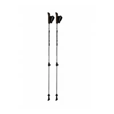 Palice nordic walking BLIZZARD Alu Performance nordic walking poles, silver black