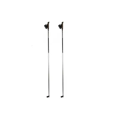 Běžkařské hole BLIZZARD XC Performance poles, silver black