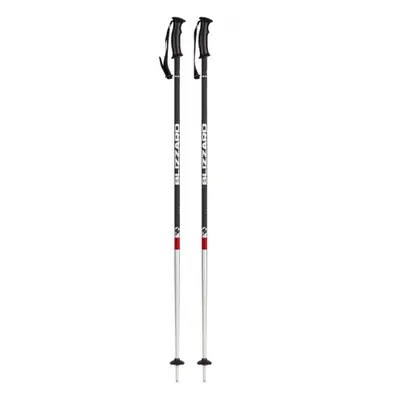 Lyžařské hole BLIZZARD Rental ski poles