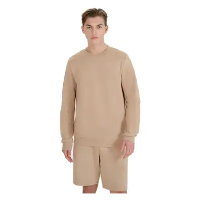 Pánská mikina 4F SWEATSHIRT M1622-83S-BEIGE