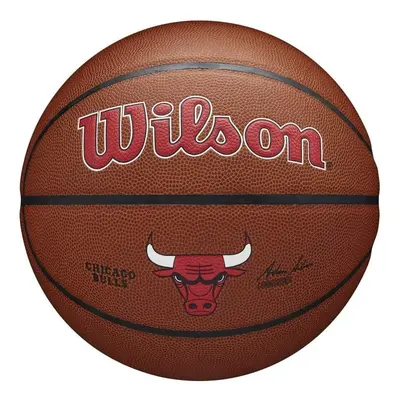 Wilson NBA Team Composite Chicago Bulls