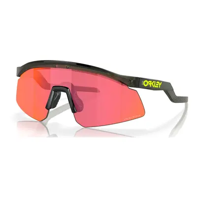 Sportovní brýle Oakley Hydra Coalesce Collection