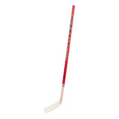 Hokejka Lion Hockey Stick Straight Plastic Blade