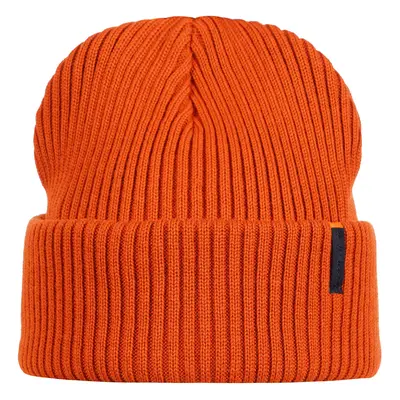 Čepice Icepeak Hodge Beanie