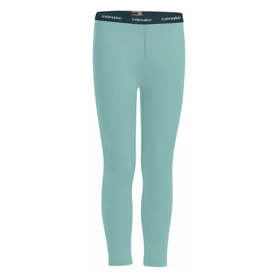 Kalhoty Icebreaker 200 Oasis Leggings Kids