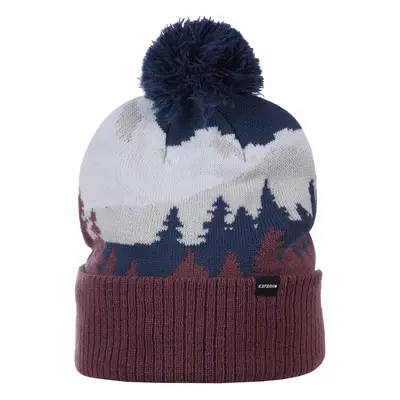 Čepice Icepeak Hallsburg Beanie