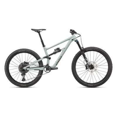 Specialized Status 160