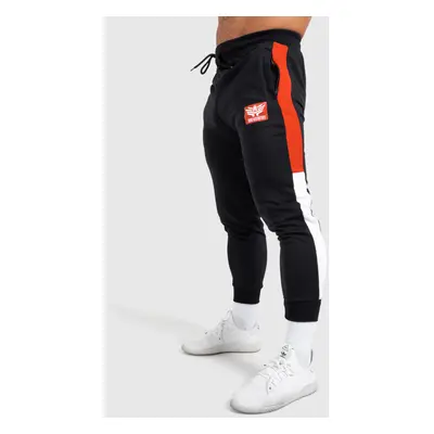 Jogger tepláky Iron Aesthetics Tricolora, černé