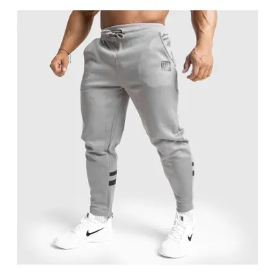 Jogger tepláky Iron Aesthetics Boxed, šedá