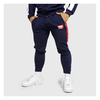 Jogger tepláky Iron Aesthetics Tricolora, navy