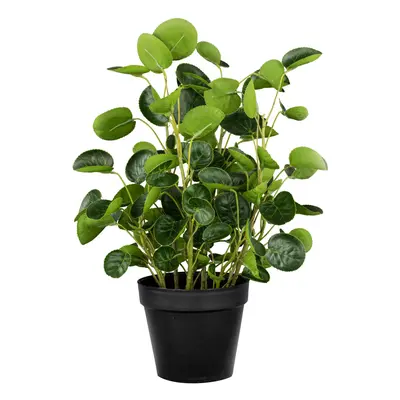 Umělá rostlina Pilea, V: 43cm