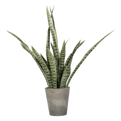 Umělá rostilna Sanseveria, V: 85cm