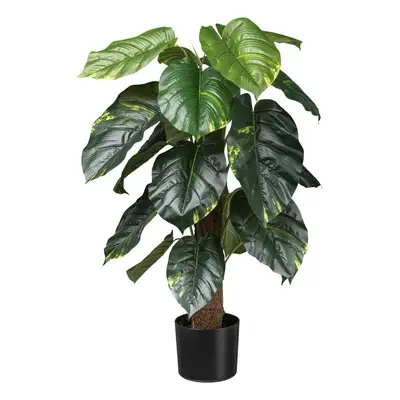 UMĚLÁ ROSTLINA PHILODENDRON SCANDES I