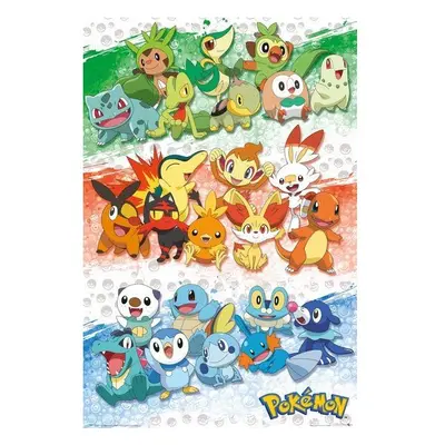 Plakát Pokémon - First Partners (90)