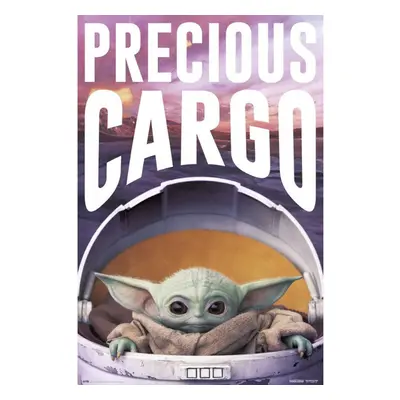 Plakát Star Wars: The Mandalorian - Precious Cargo (249)