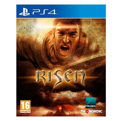 Risen (PS4)