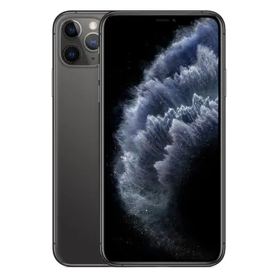 Apple iPhone 11 Pro Max 256GB vesmírně šedý