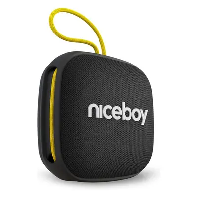 Niceboy RAZE Mini 4