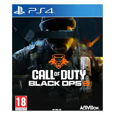 Call of Duty: Black Ops 6 (PS4)