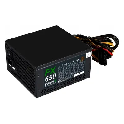 EVOLVEO FX 650 650W bulk