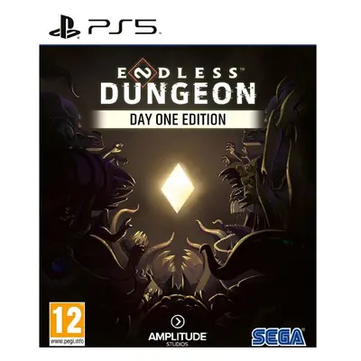 Endless Dungeon (PS5)