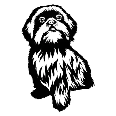 Vsepropejska Shih - tzu dřevěná dekorace na zeď Rozměr (cm): 38 x 25