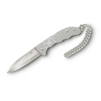 Victorinox Evoke Alox Silver 0.9415.D26